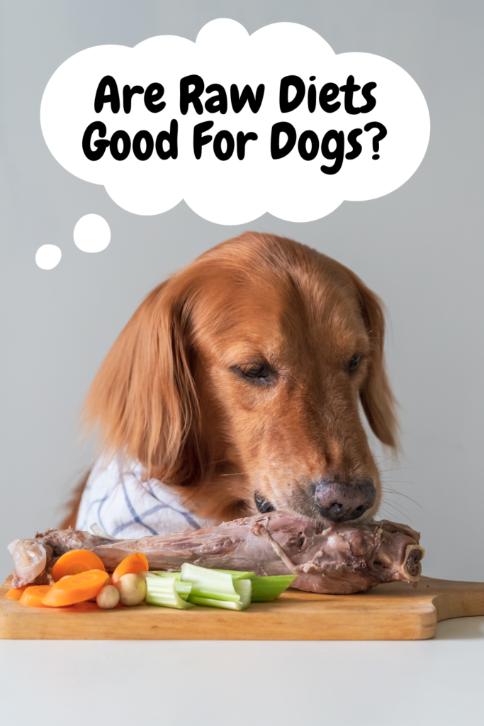 are raw diets good for dogs?