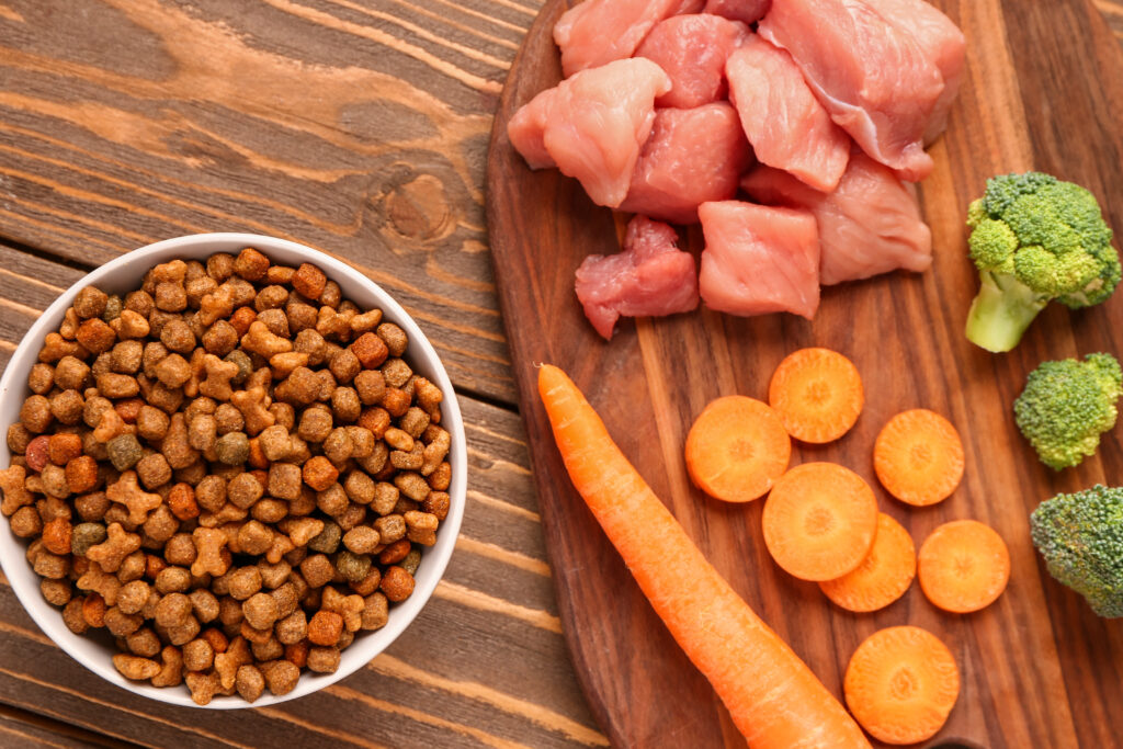 are raw diets safe for dogs
