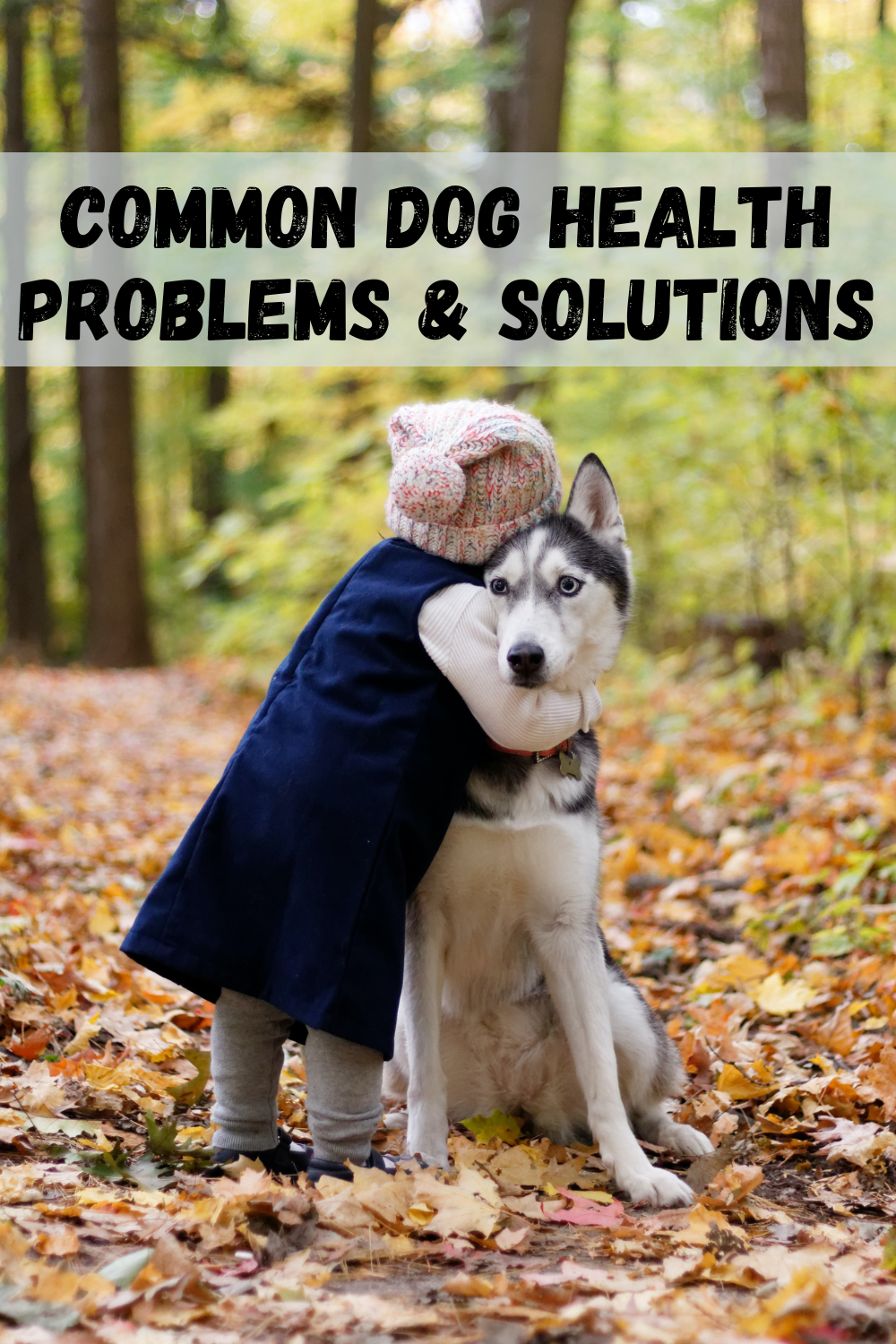 Dog Health Problems and Solutions
