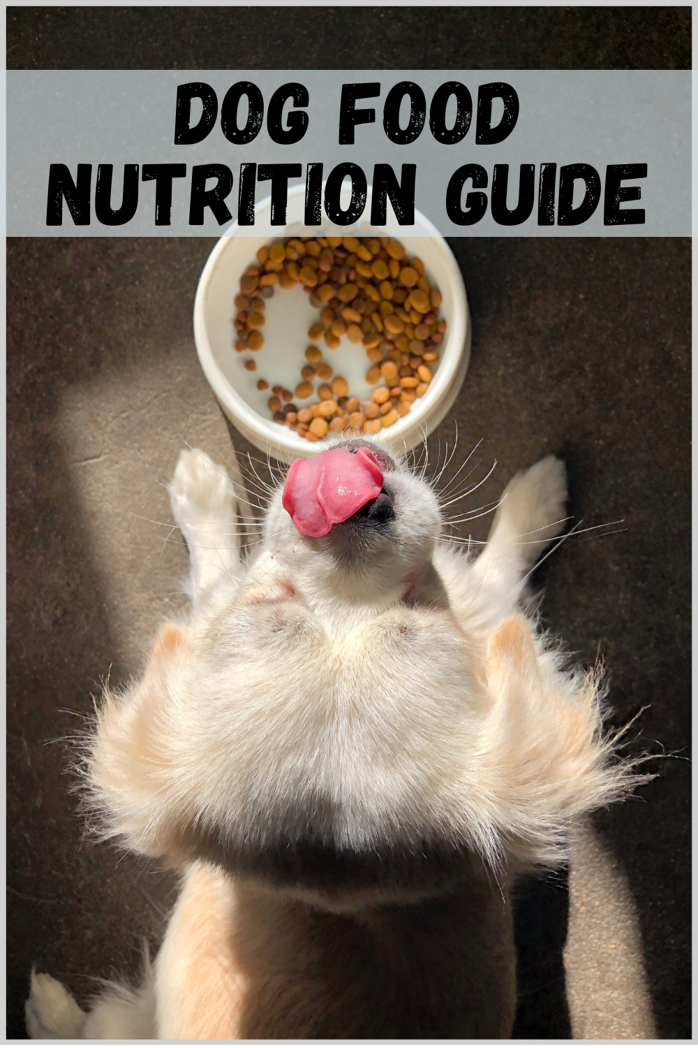 Dog Food Nutrition Guide
