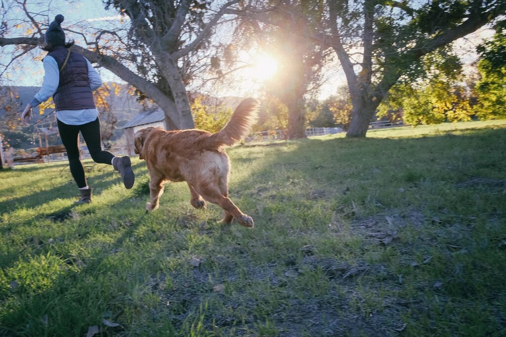 dog running with owner