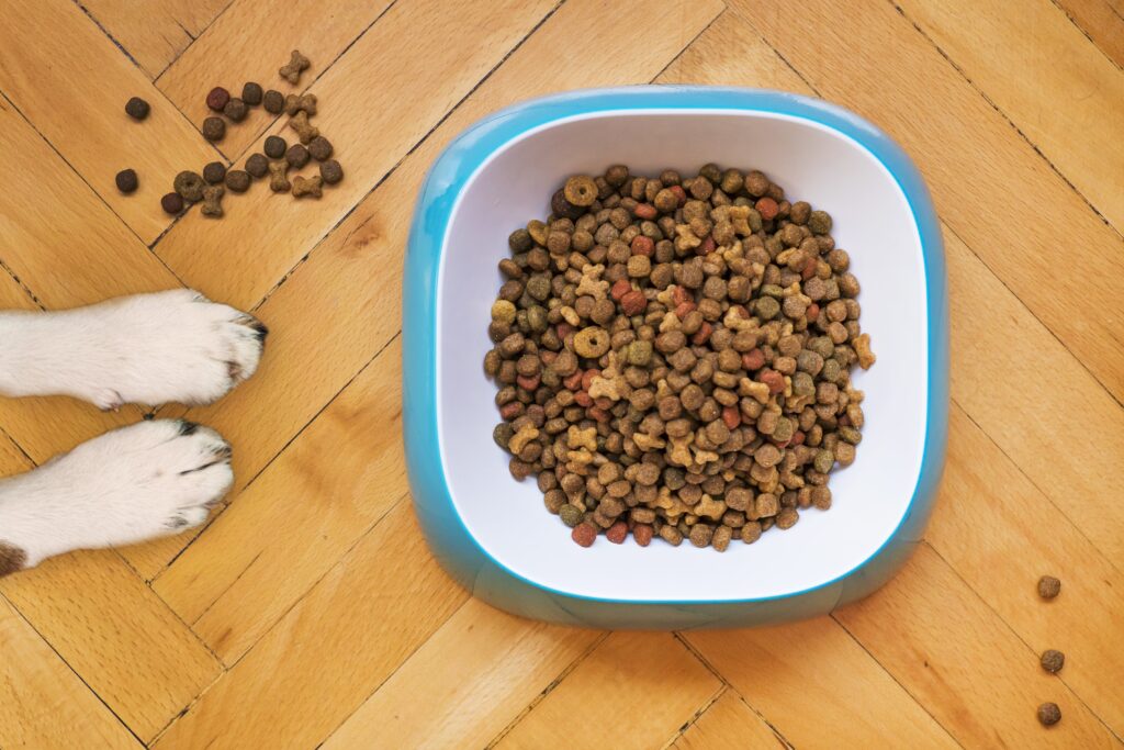 high protein diet good for dogs