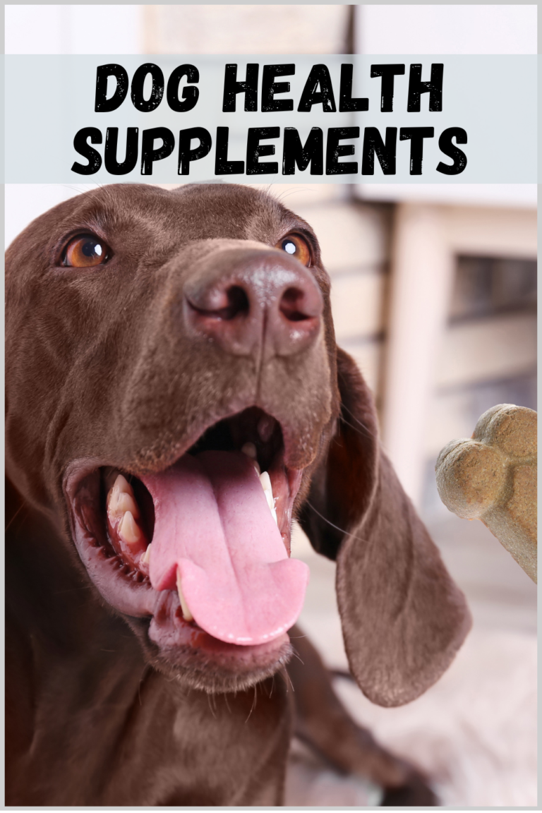 dog health supplement