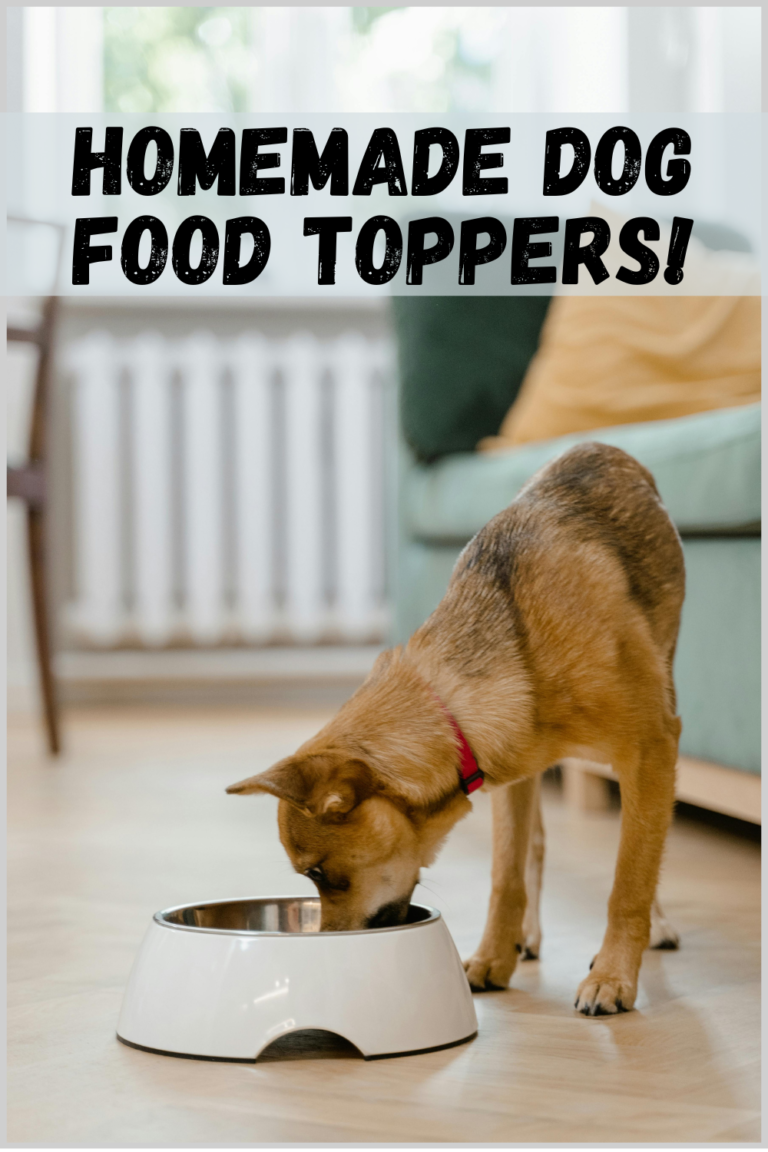 homemade dog food toppers